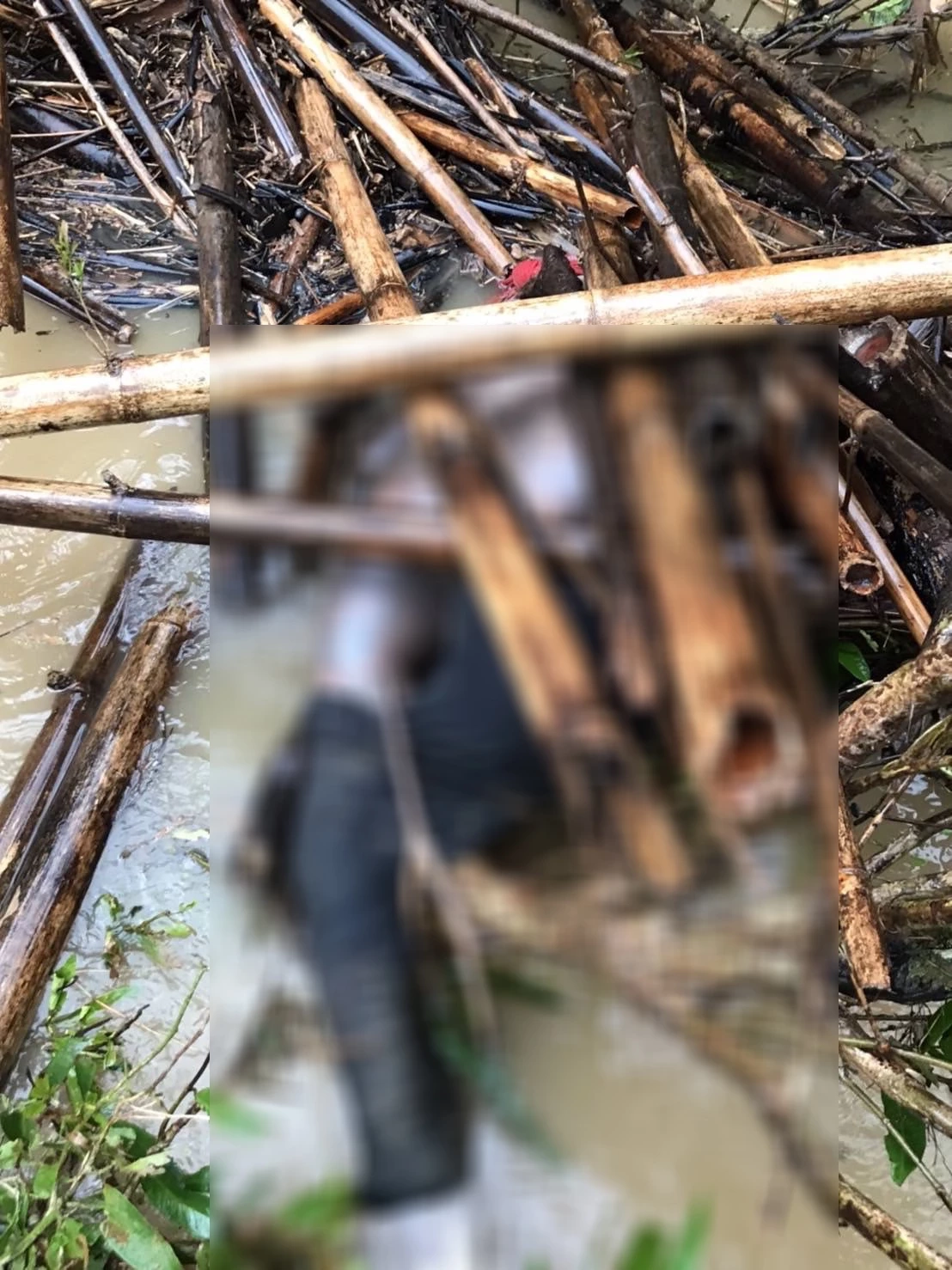 ไชยาอ่วม!! น้ำท่วมตัวเมืองสูง น้ำป่าพัดจมดับ 1 ราย