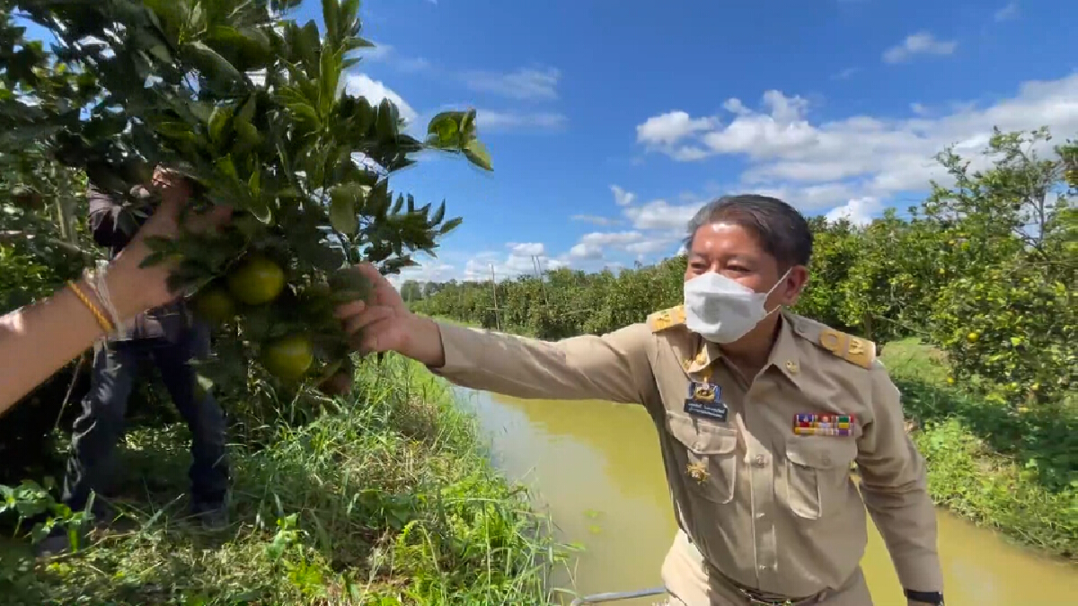 สวนจังหวัดหนองคายเปิดนั่งเรือเก็บส้ม