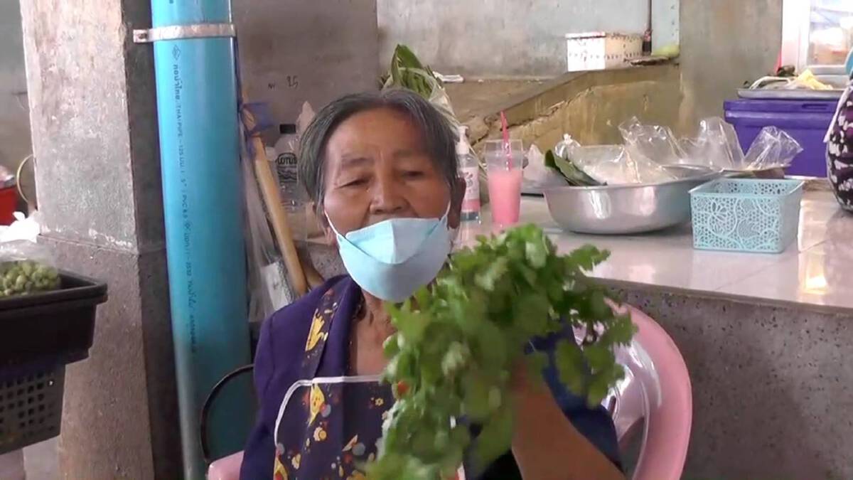 เตือนผักแพง!เกษตรกรแห่ปลูกหวั่นล้นตลาดราคาตกซ้ำ