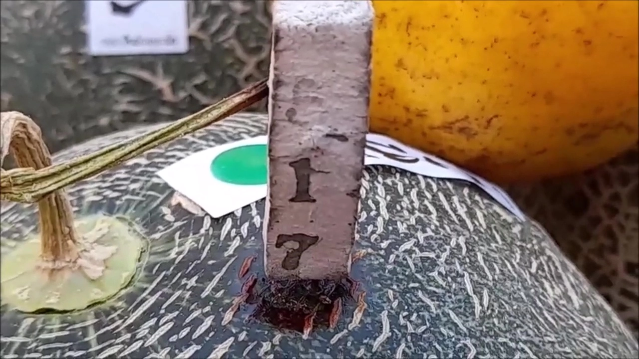 คอหวยตาลุกวาว ส่องเลขเด็ดปู่ศรีสุทโธวัดคำชน หรือ คำชะโนดแห่งที่ 2