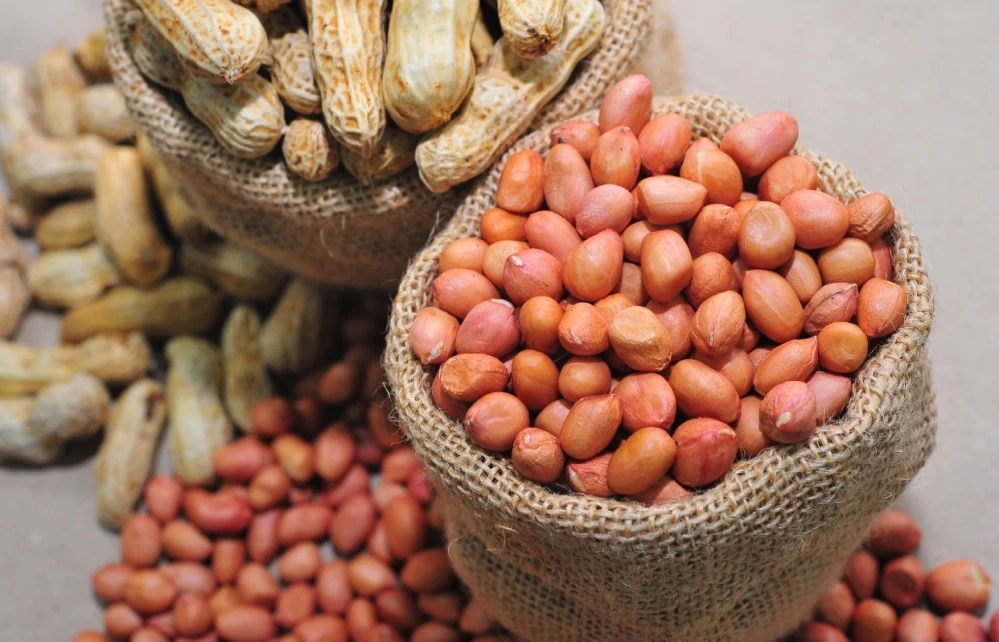 ข่าวปลอม! กินถั่วลิสงวันละ 1 กำมือ ช่วยรักษาอาการวัยทอง