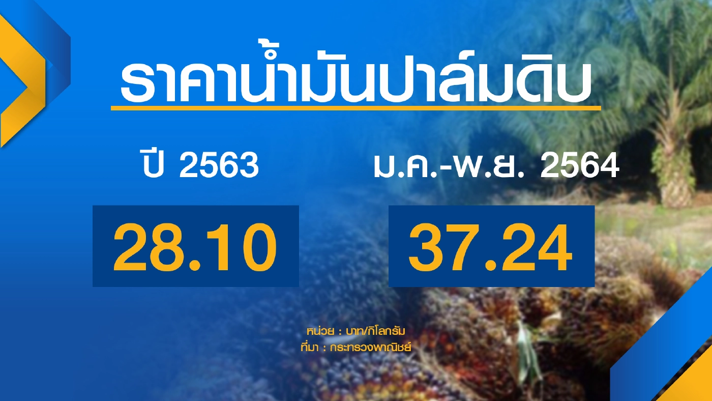 พาณิชย์ขอผู้ผลิต ‘ตรึง‘ ราคาน้ำมันปาล์ม