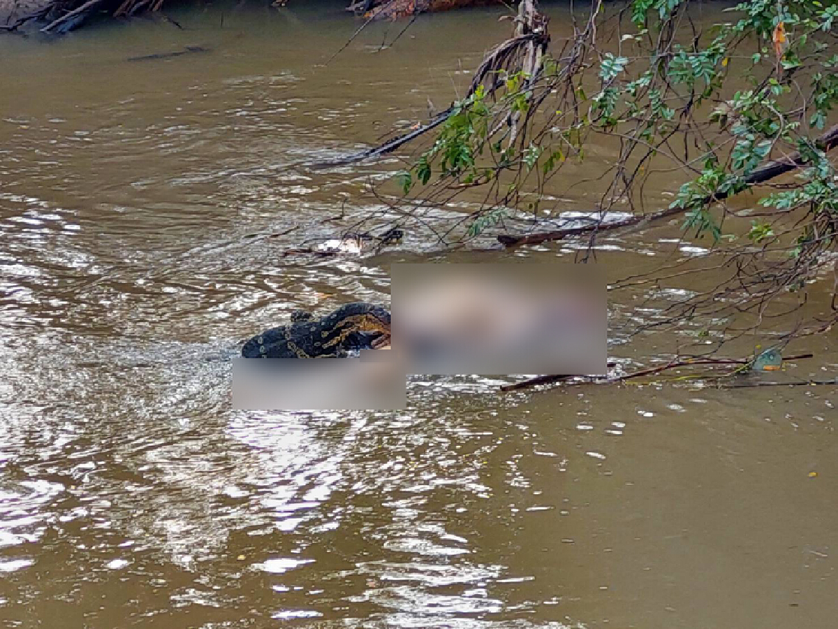 ผงะ ตัวเงินตัวทองรุมทึ้งศพชายกระโดดน้ำสูญหายต่อหน้าสาวอุดร