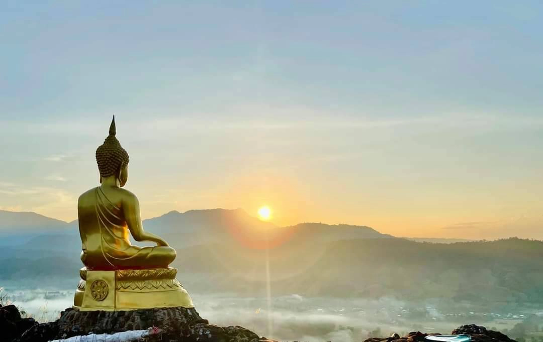 พาชมทะเลหมอกนครชุมบน"ยอดเขาโปกโล้น"