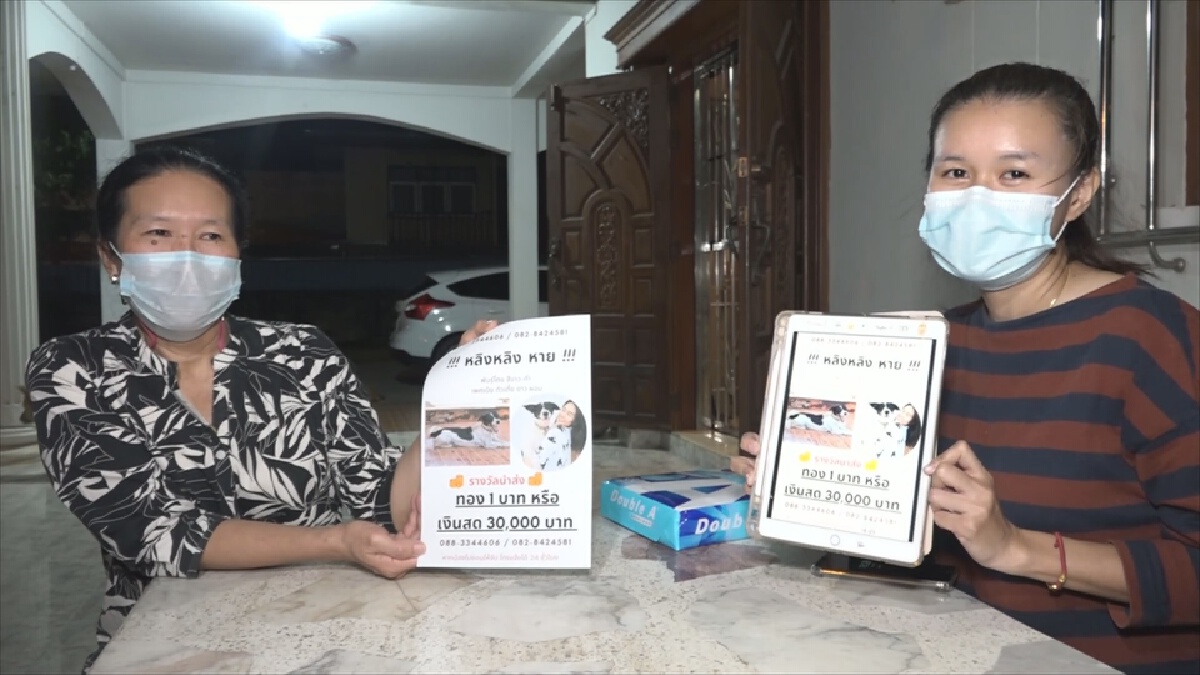 พบแล้วหมาหลิงหลิงซุกในป่าพื้นที่ร้างสภาพอิดโรย เจ้าของดีใจน้ำตาไหล