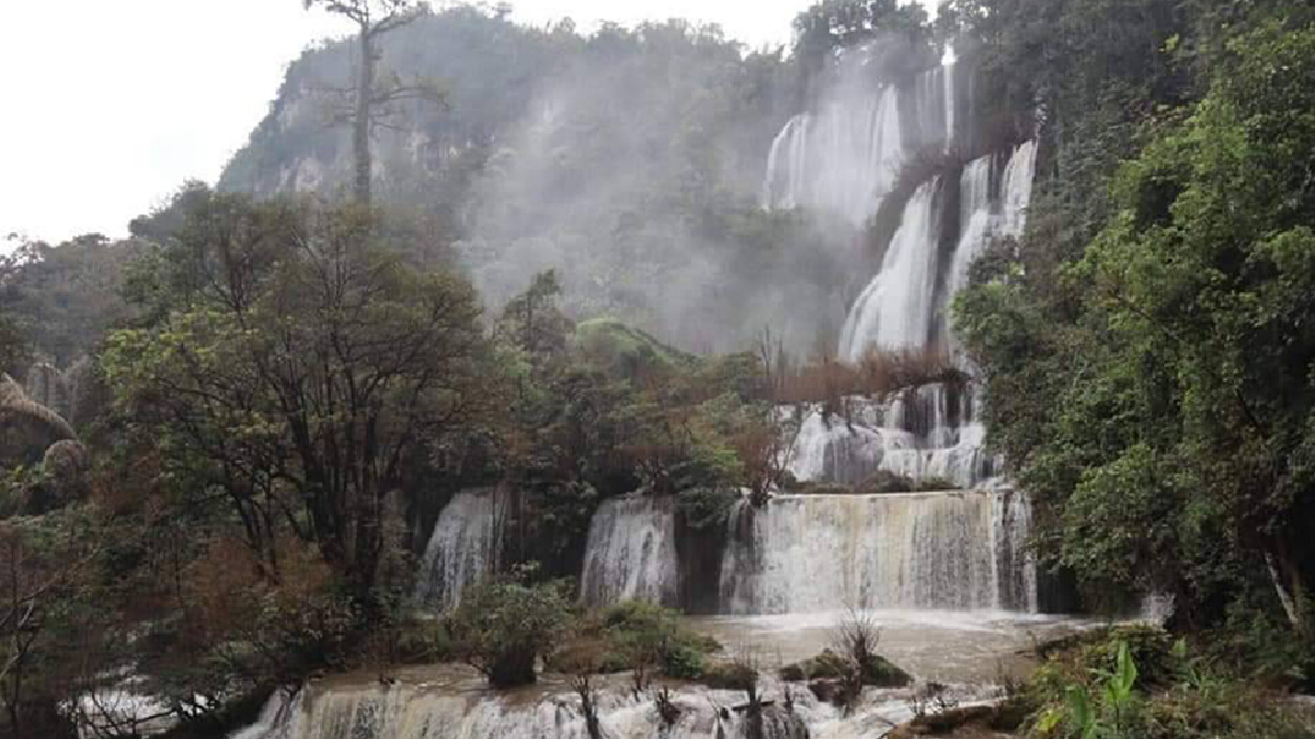 ภาพ : กรมอุทยานแห่งชาติ สัตว์ป่า และพันธุ์พืช