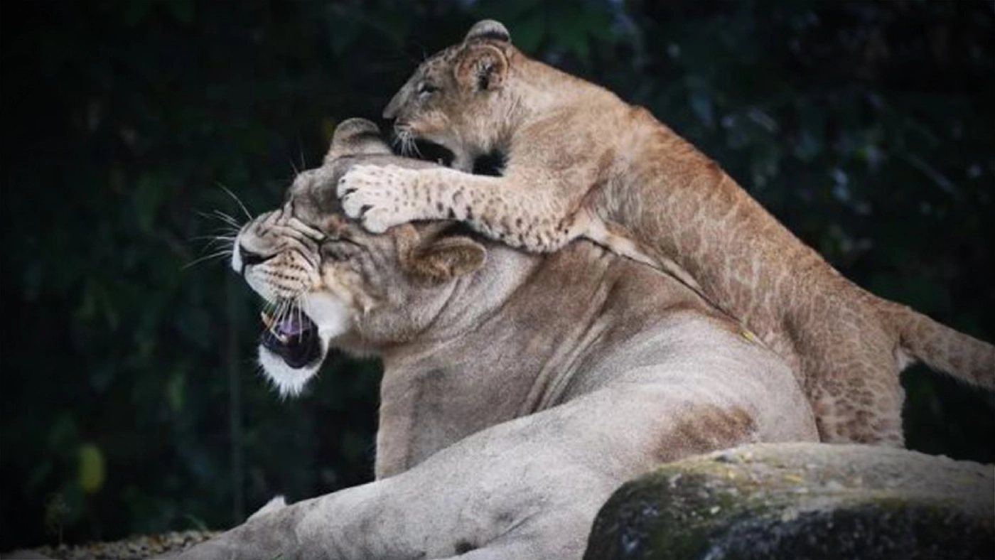 ภาพ : สำนักข่าวซินหัว