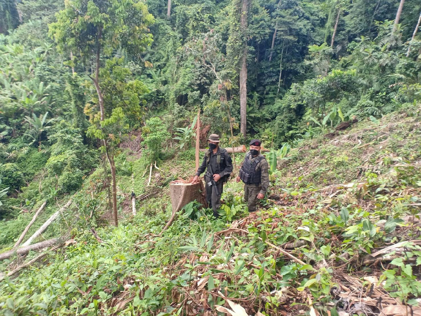 ตรวจสอบป่าต้นน้ำ แม่น้ำปัตตานีถูกทำลาย