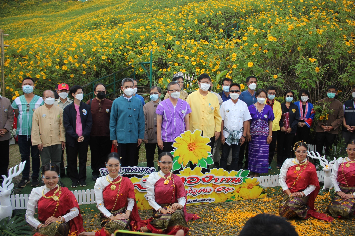 เปิดแล้วเทศกาล"ทุ่งดอกบัวตองบาน"ท่ามกลางคุมเข้มโควิด