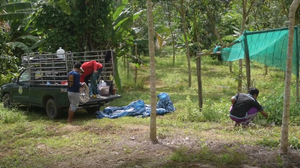 ‘ลูกหยี‘ สร้างงาน สร้างรายได้ชุมชน บ้านหนองแสง