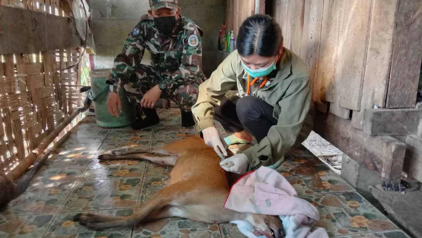 ภาพ : กรมอุทยานแห่งชาติ สัตว์ป่า และพันธุ์พืช