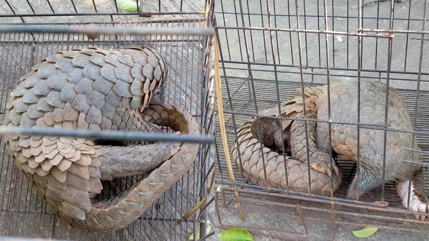 ขอบคุณภาพ : กรมอุทยานแห่งชาติ สัตว์ป่า และพันธุ์พืช