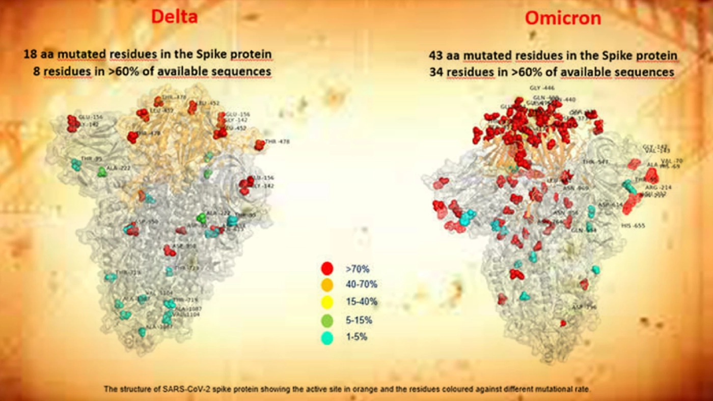 เปิดภาพเทียบชัดๆ "สายพันธุ์โอไมครอน" กับ "สายพันธุ์เดลตา"