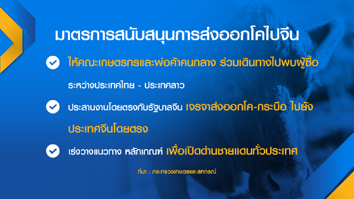 รัฐตั้ง ‘ปศุสัตว์ แซนด์บ็อกซ์‘ ดันส่งออกโคไปจีน