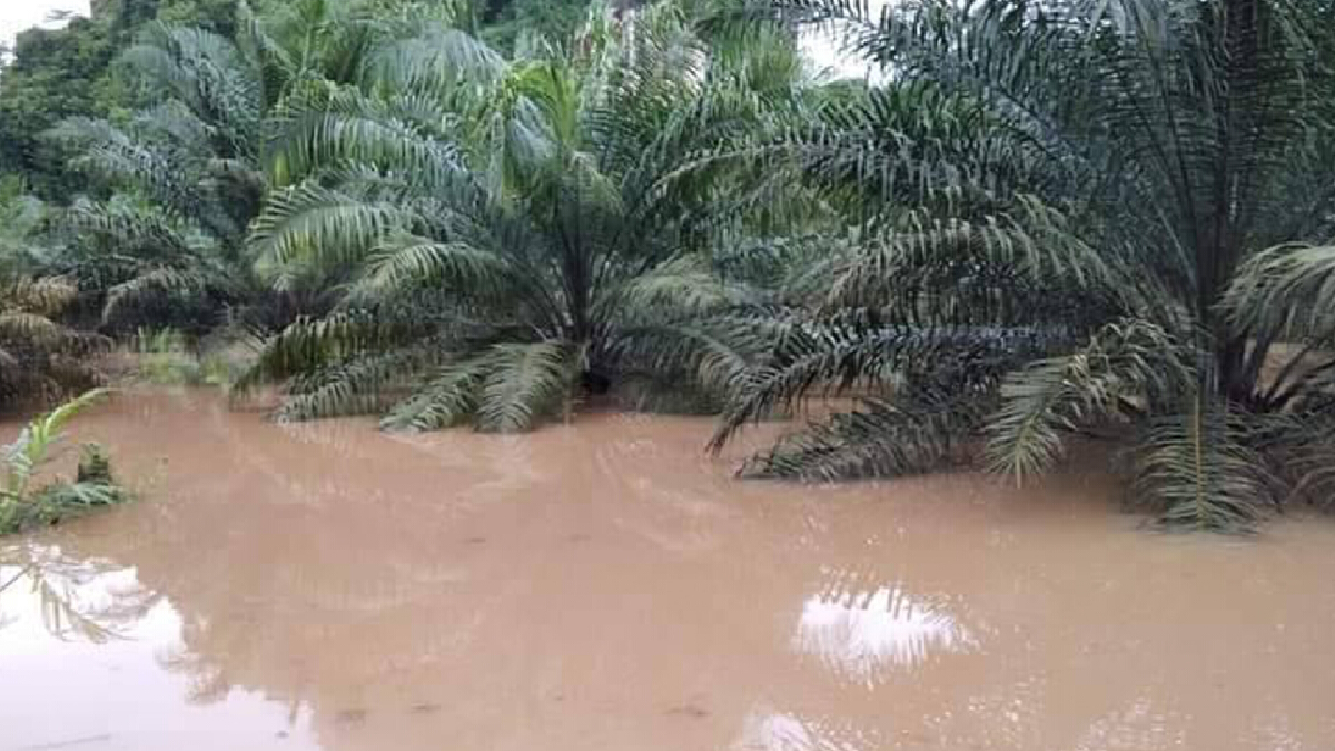 ภาคใต้ฝนยังตกหนัก กอนช.เตือนน้ำท่วม-ดินถล่ม 1-2 วันนี้