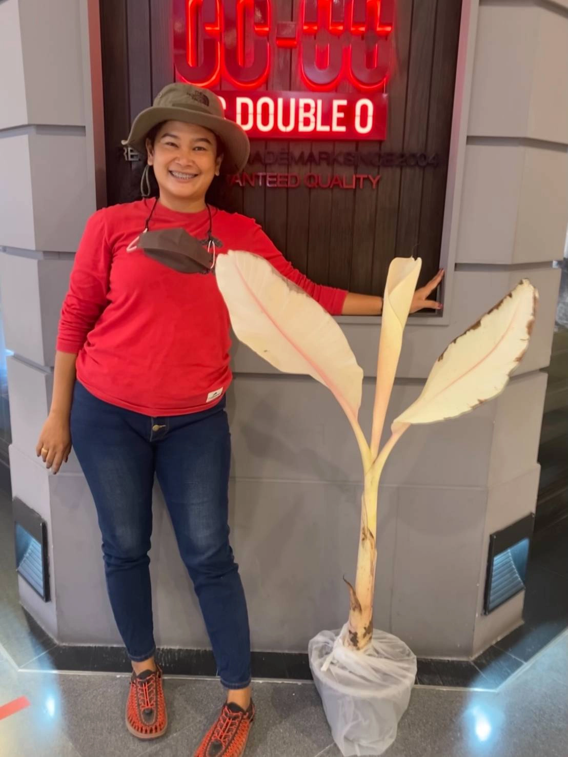 โจรแสบขโมย"กล้วยด่าง-บอนด่าง"มูลค่ากว่า3แสน​