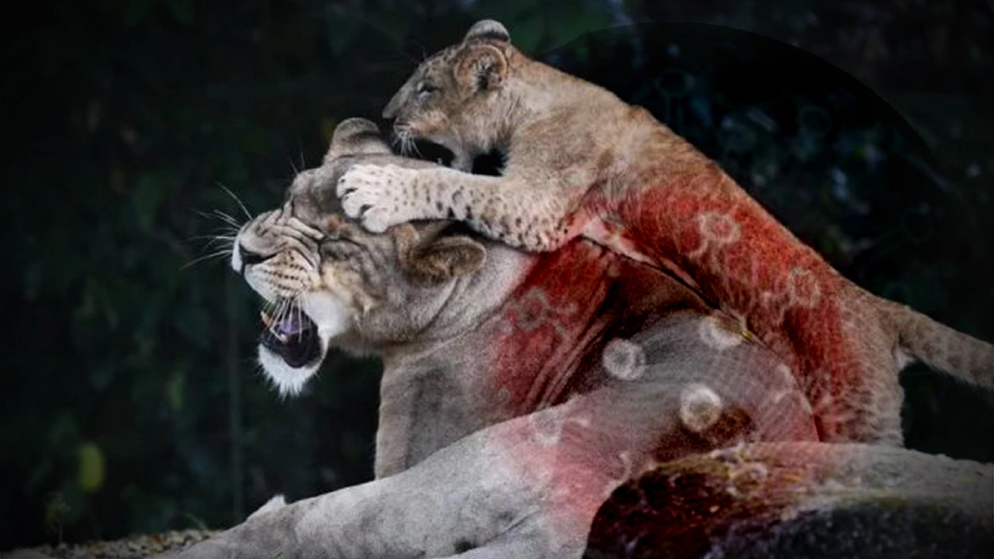 ภาพ : สำนักข่าวซินหัว