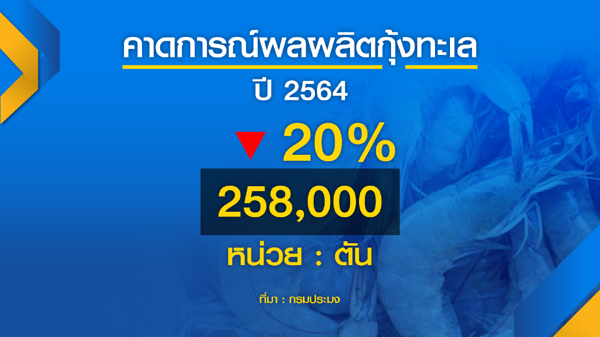 ประมงยันนำเข้า ‘กุ้งทะเล‘ ไม่กระทบเกษตรกรไทย