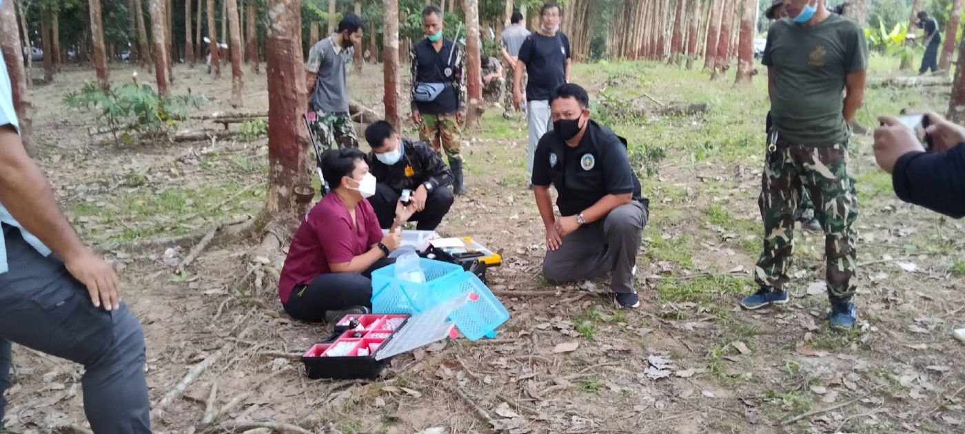 สลด! ช้างป่าทำร้ายนักข่าวเสียชีวิตขณะติดตาม จนท.เข้าทำการช่วยเหลือ