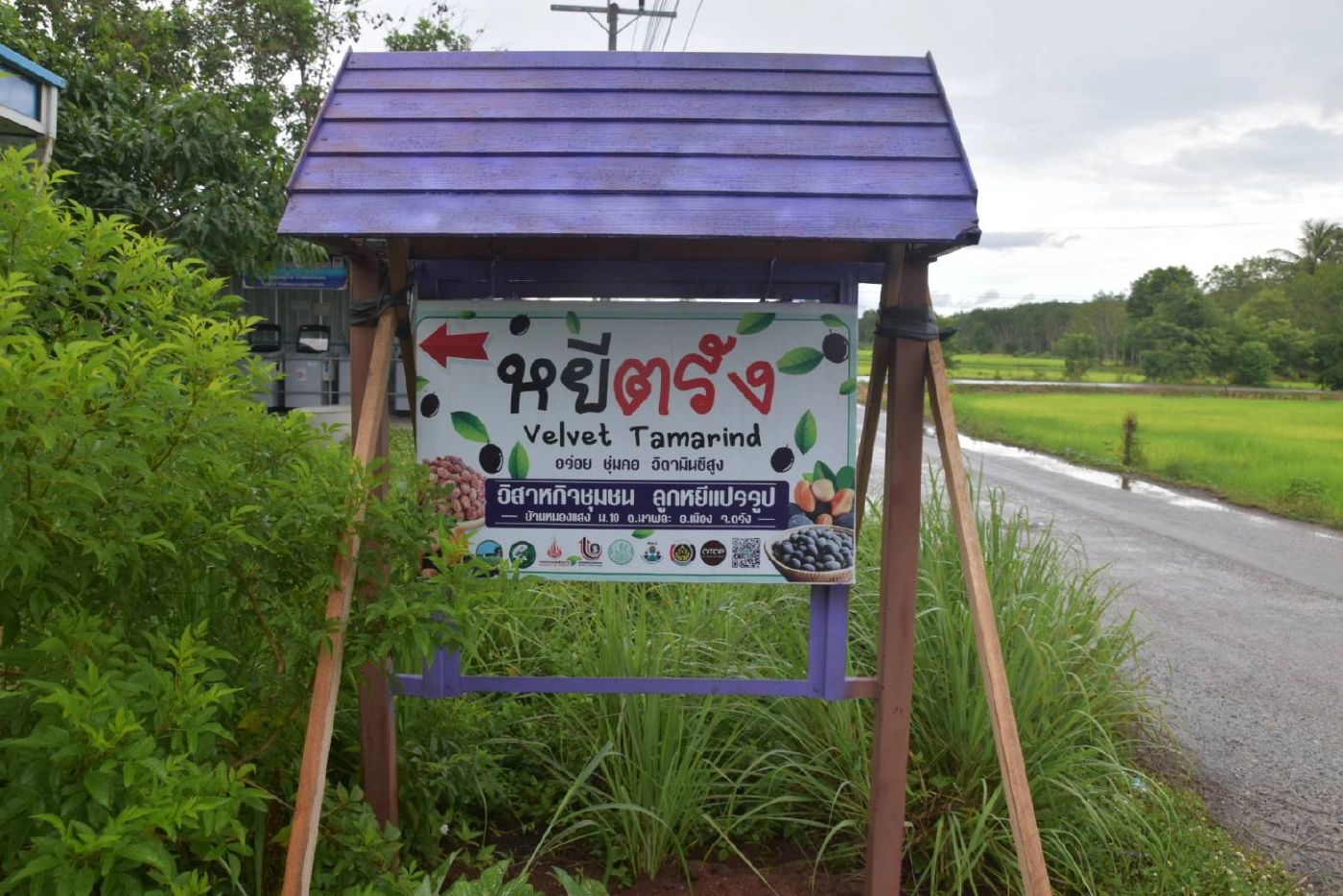 "ลูกหยีสามรส" บ้านหนองแสงสร้างรายได้ให้ชุมชน