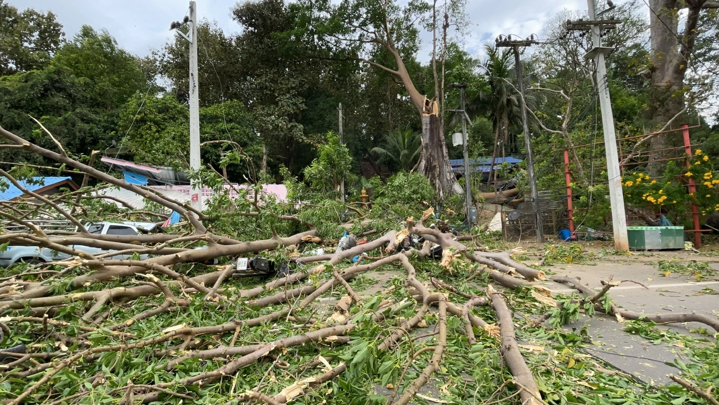 ลมกระโชกแรง กิ่งต้นกระเหรี่ยงอายุ 100 ปีหักทับพ่อลูกวัย 2 ขวบดับคาที่