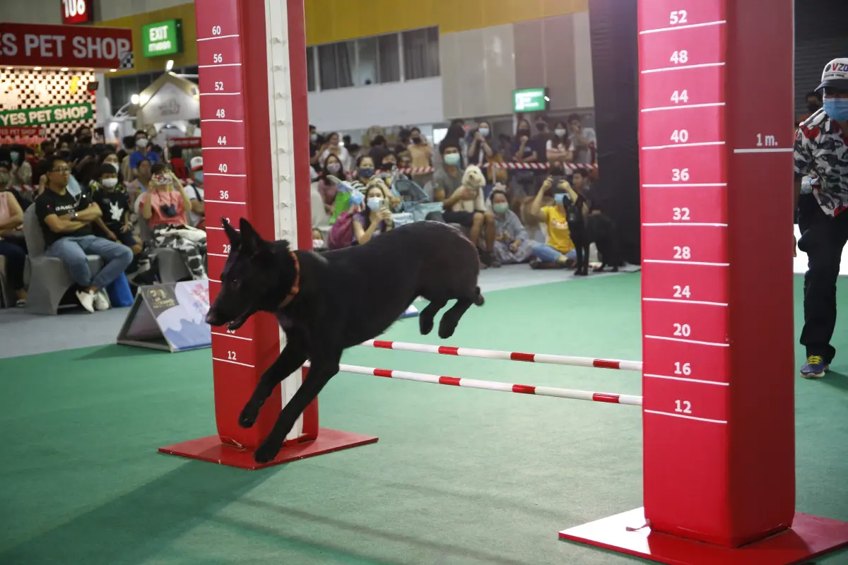 สิ้นสุดการรอคอย "Pet Expo Thailand 2021"
