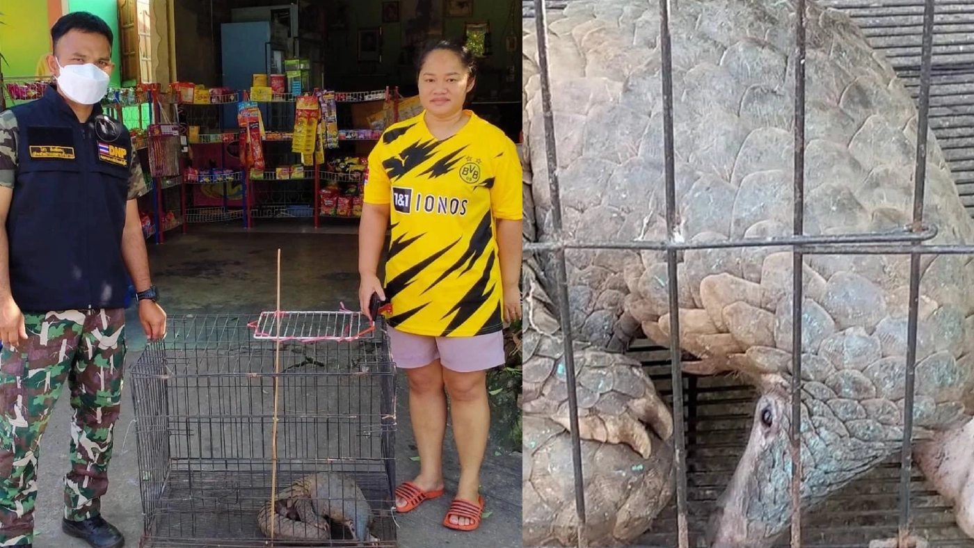 ขอบคุณภาพ : กรมอุทยานแห่งชาติ สัตว์ป่า และพันธุ์พืช