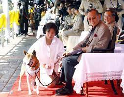 ๑๑ พฤศจิกายน ๒๕๖๔ เนื่องในวันคล้ายวันเกิดท่านผู้หญิงทัศนาวลัย ศรสงคราม