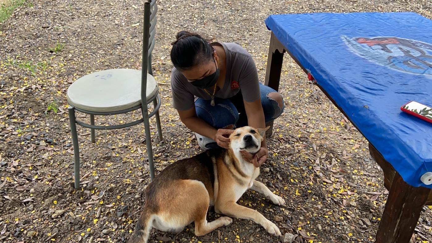 จิตใจทำด้วยอะไร มือดีใช้ปืนอัดลมยิงวัว-สุนัข กระสุนฝังในบาดเจ็บ