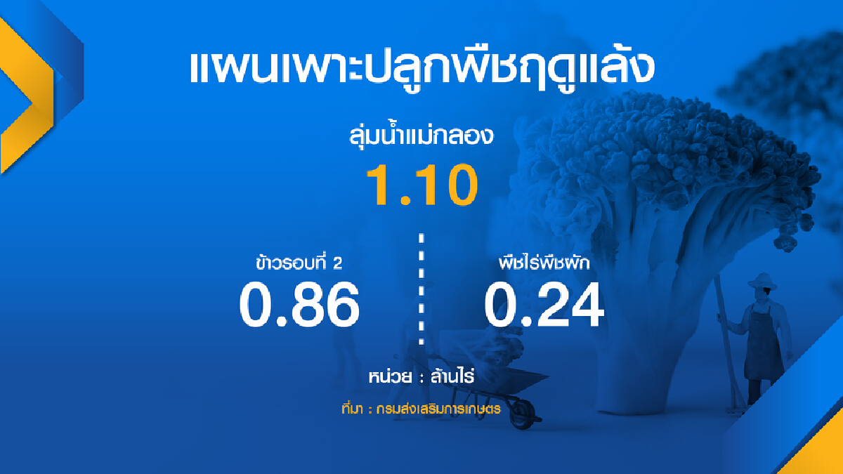 เกษตรฯ กางแผนเพาะปลูกพืชฤดูแล้ง 11.65 ล้านไร่