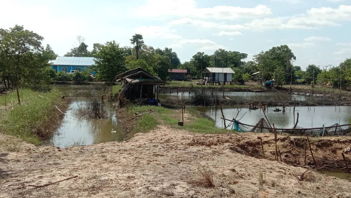 ขาดทุนยับเกษตรกรทุกข์น้ำท่วมกระชัง ปลาไหลตามน้ำไม่เหลือสักตัว