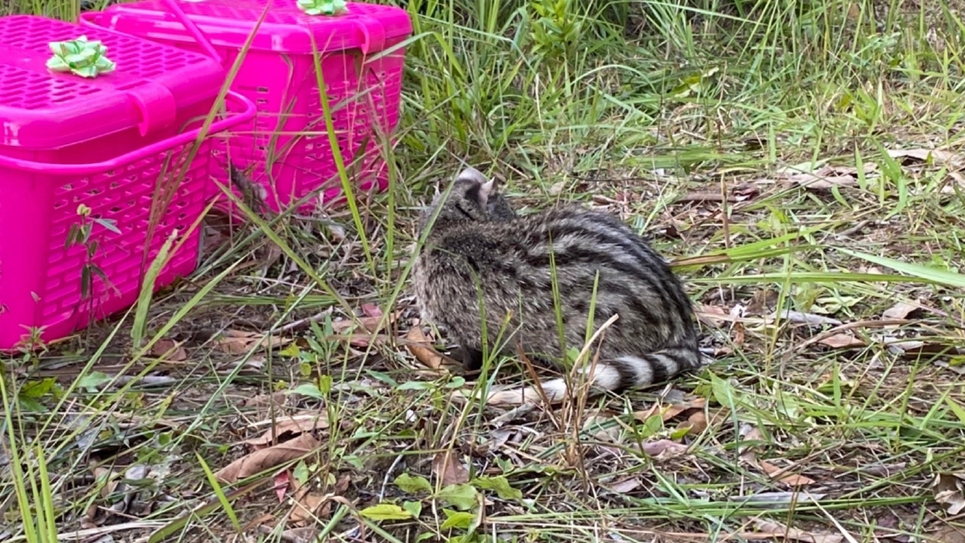 อช.เขาใหญ่ จัดกิจกรรมปล่อยสัตว์คืนสู่ธรรมชาติ