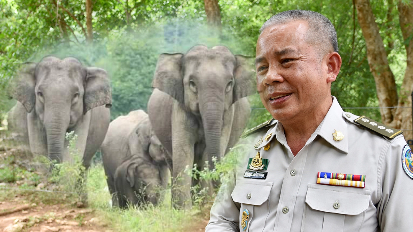 บูรณาการทุกมิติ แก้ไขปัญหาช้างป่ารอยต่อ 5 จังหวัด