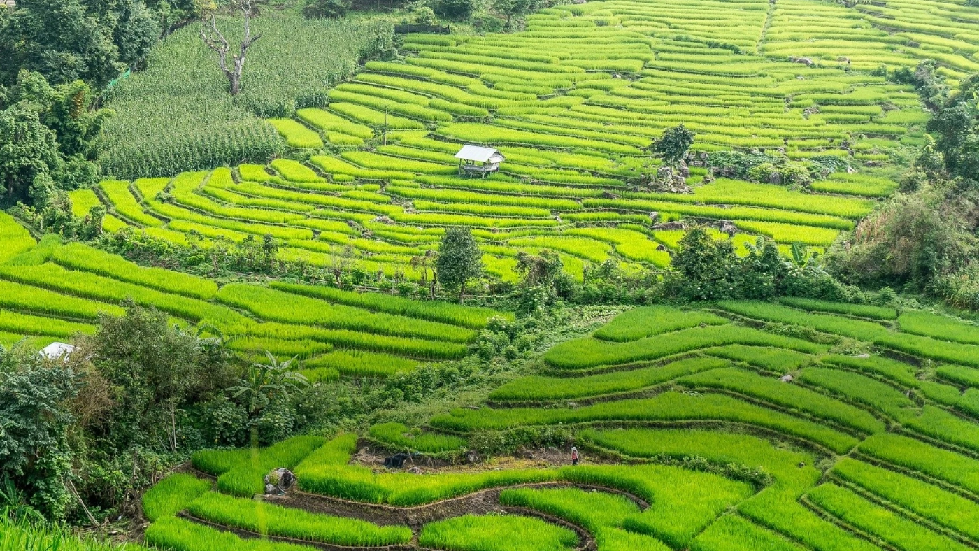 ตระกูลรวยที่สุด 50 อันดับ มีทรัพย์สินเท่ากับประชากร 13 ล้านครัวเรือน