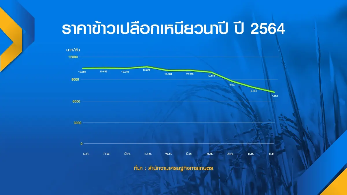 รัฐจ่อจ่ายชดเชย ‘ข้าวเปลือก‘ เกินแสนล้าน