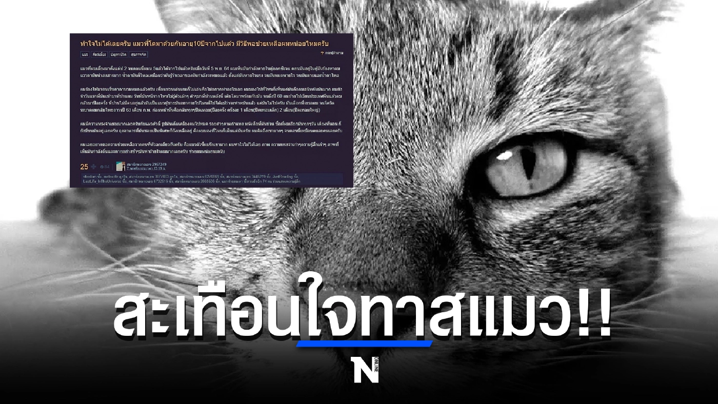 ทาสแมวหนุ่มม.5 สุดเศร้า หลังน้องแมวสุดที่รักจากไป วอนขอกำลังใจชาวเน็ต