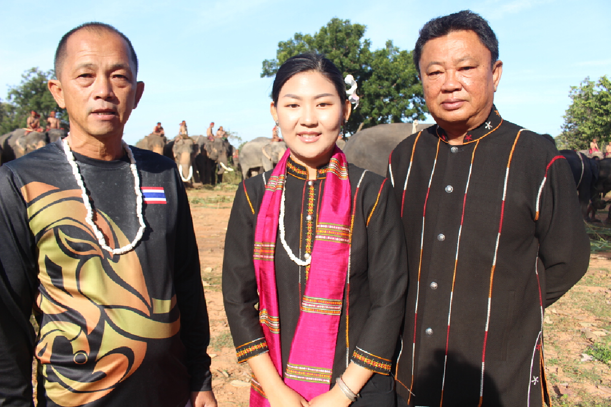 ช้าง 200เชือกร่วมทอดกฐินชวนเที่ยวหมู่บ้านช้าง