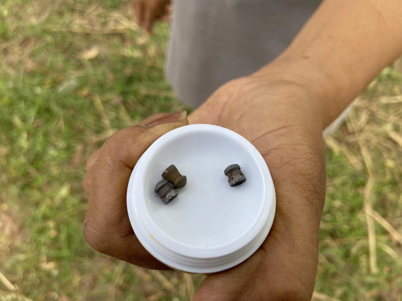 จิตใจทำด้วยอะไร มือดีใช้ปืนอัดลมยิงวัว-สุนัข กระสุนฝังในบาดเจ็บ