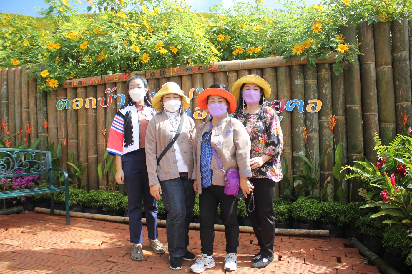 เปิดแล้วเทศกาล"ทุ่งดอกบัวตองบาน"ท่ามกลางคุมเข้มโควิด