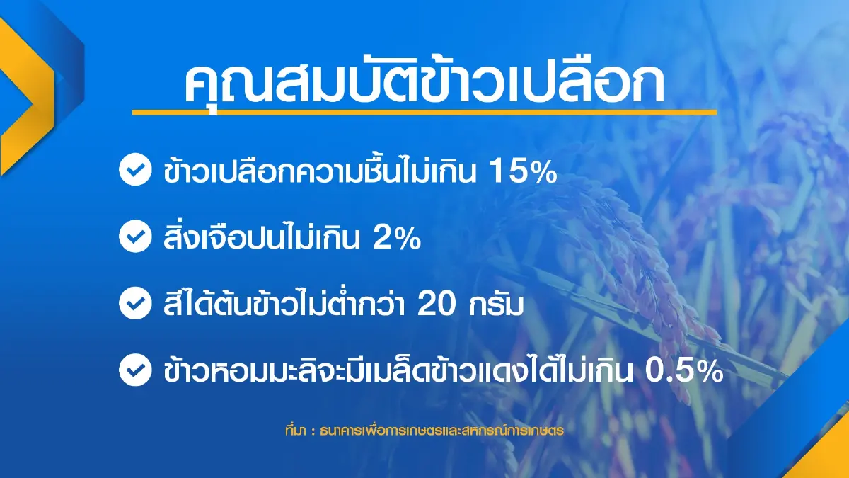 ธ.ก.ส.ทุ่ม 3.5 หมื่นล้านช่วยสินเชื่อชาวนา