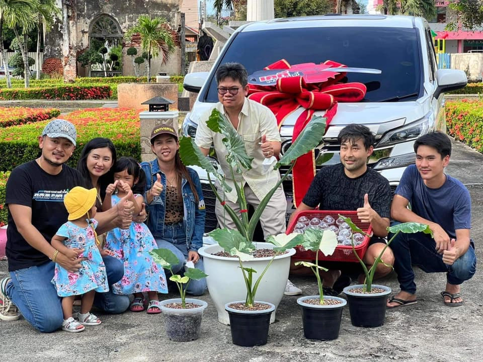 โซเชียลฮือฮา "บอนหูช้างด่างขาว" แลกรถตู้หรู ราคาเกือบ 4 ล้าน