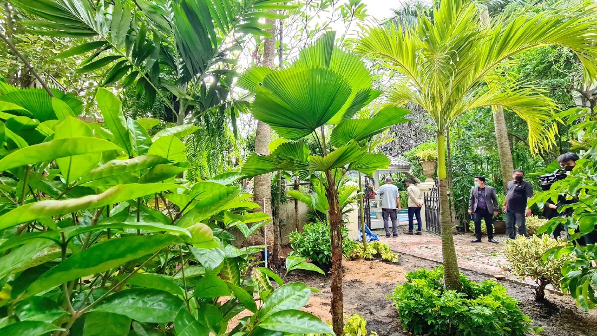 สวนแรกหลังเปิดเมือง สวนนงนุชพัทยาเนรมิตสวนมิตรภาพในอุซเบกิสถาน กระชับความสัมพันธ์