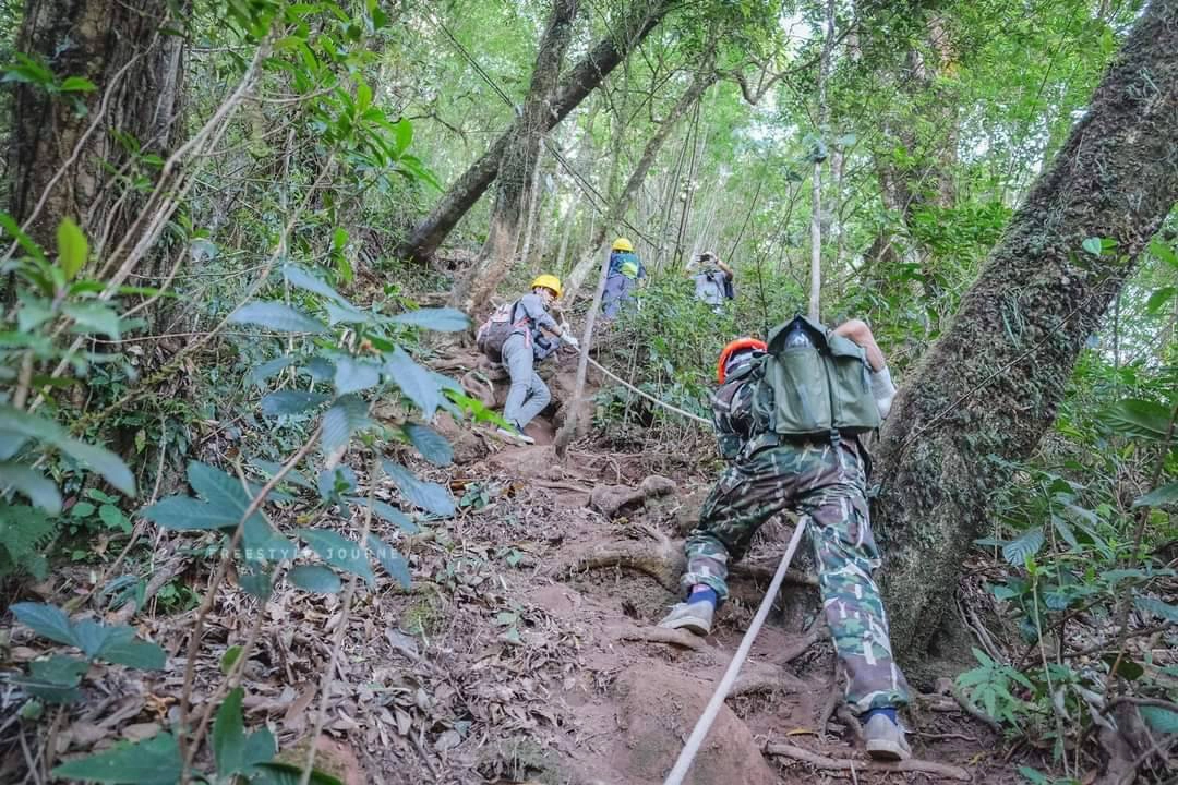 อช.ภูสอยดาว จำกัด นทท. พิชิตยอดภู 2,102 เมตร เปิดจองผ่านแอพ QueQ