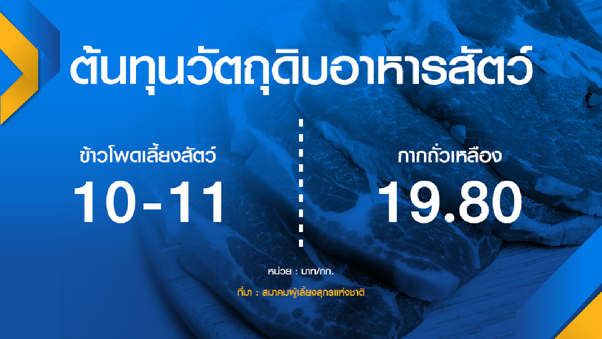 ผู้เลี้ยงขอ ‘ผู้บริโภค‘ เห็นใจราคาหมูแพง