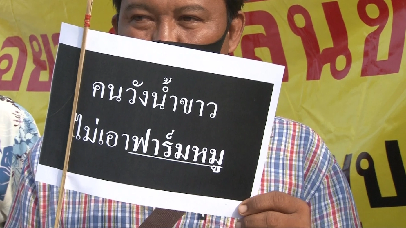 คนวังน้ำขาวรวมตัวคัดค้านฟาร์มหมูส่งกลิ่นเหม็น