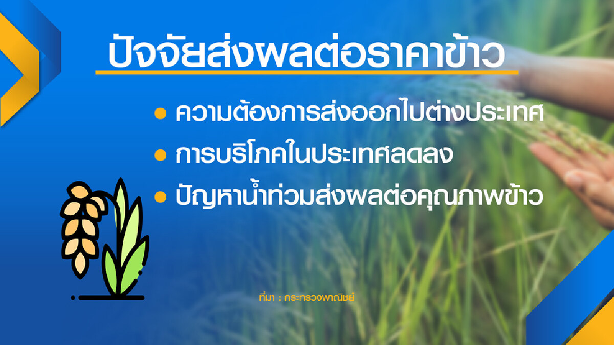 พาณิชย์เปิดจุดรับซื้อแก้ข้าวตกเหลือ 5 บาท/กก.
