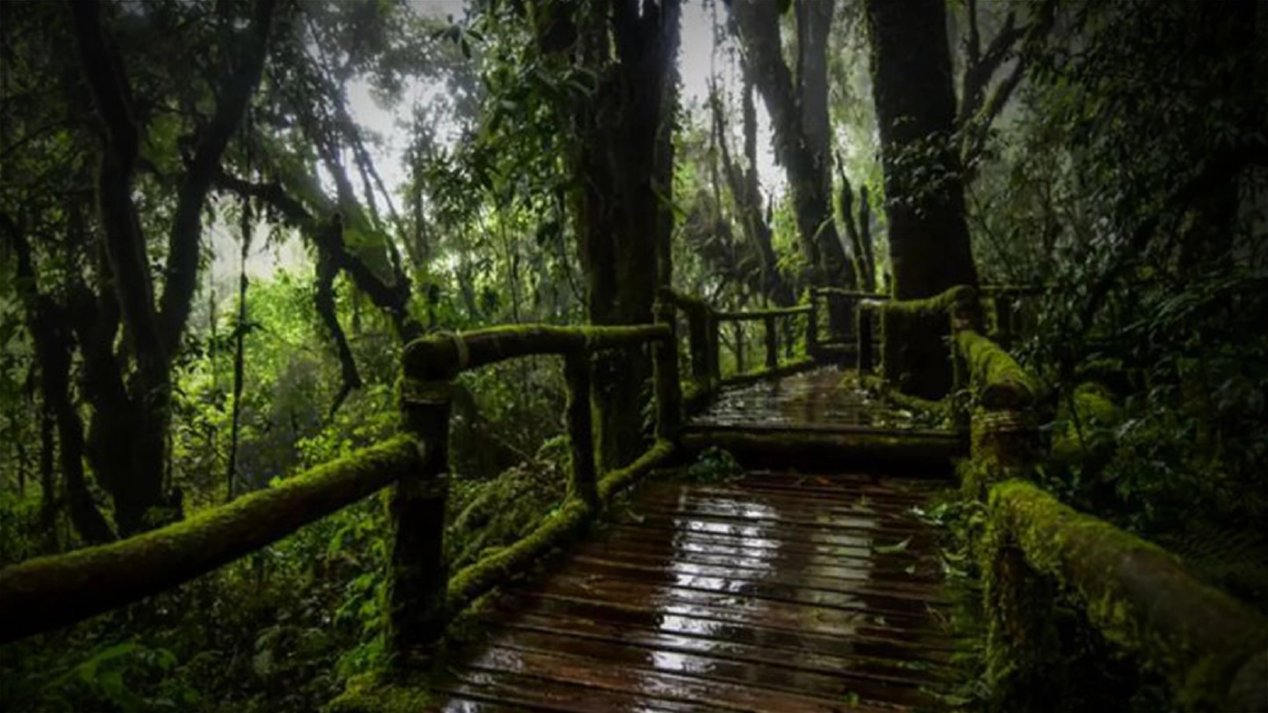 เส้นทางเดินศึกษาธรรมชาติอ่างกา อุทยานแห่งชาติดอยอินทนนท์ จ.เชียงใหม่