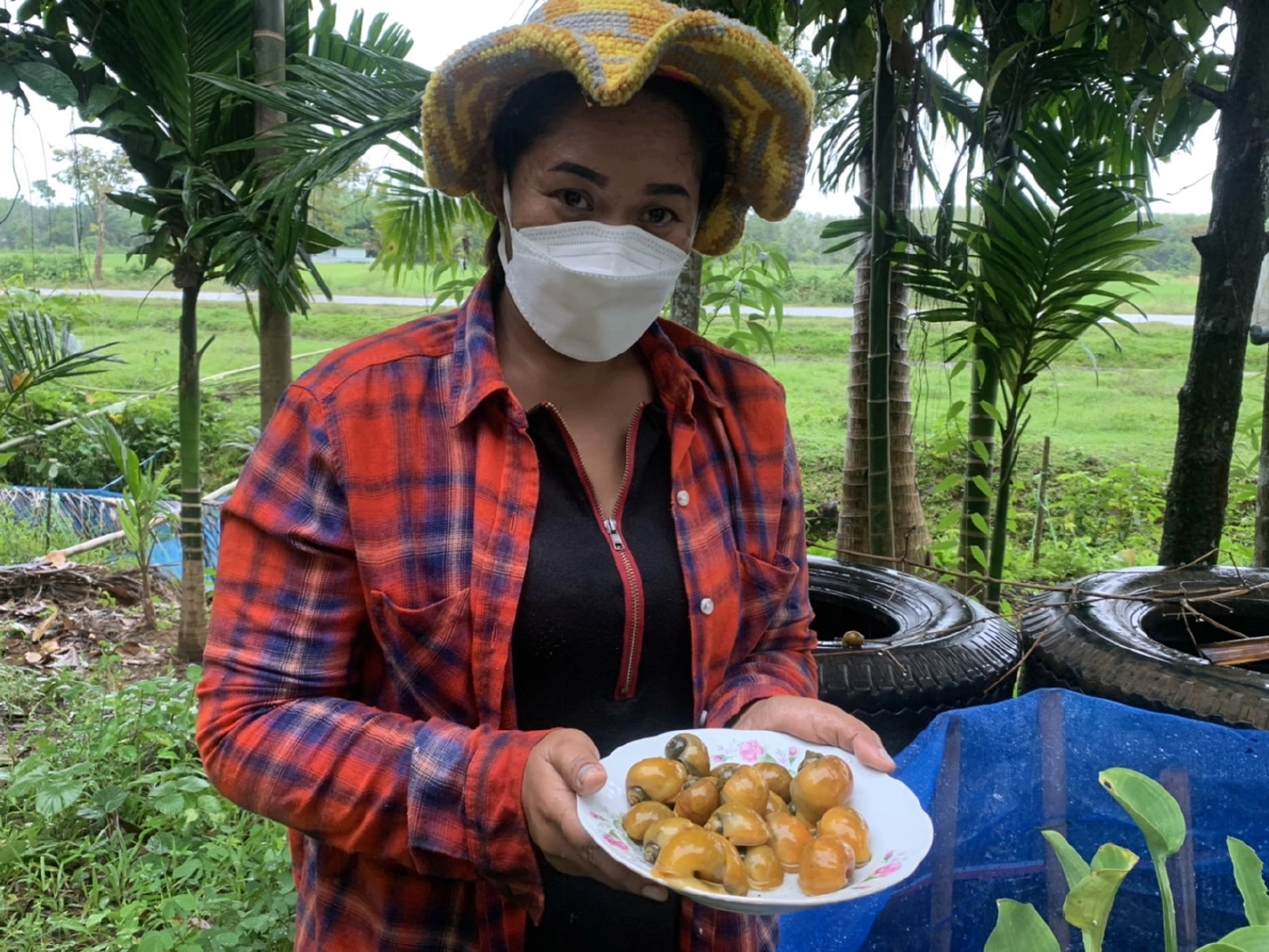 สัตว์เศรษฐกิจใหม่ เลี้ยงหอยเชอรี่สีทองโกยรายได้วันละพัน