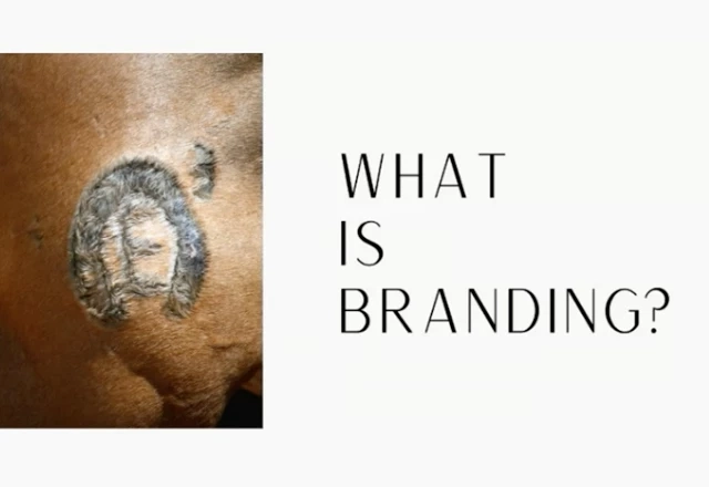การทำ Branding เพื่อตอบโจทย์เทรนด์โลกอนาคต
