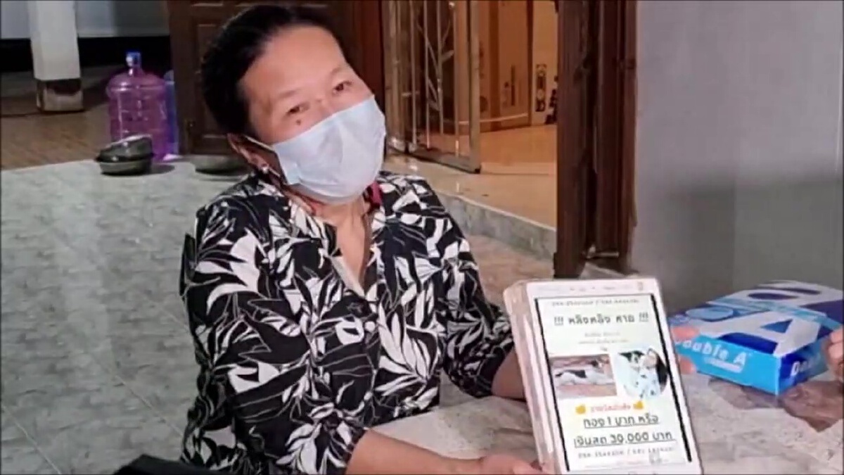 ฮือฮา เจ้าของร้านทองใจป้ำประกาศหาน้องหมาให้รางวัลเงิน3หมื่นหรือทอง1บาท